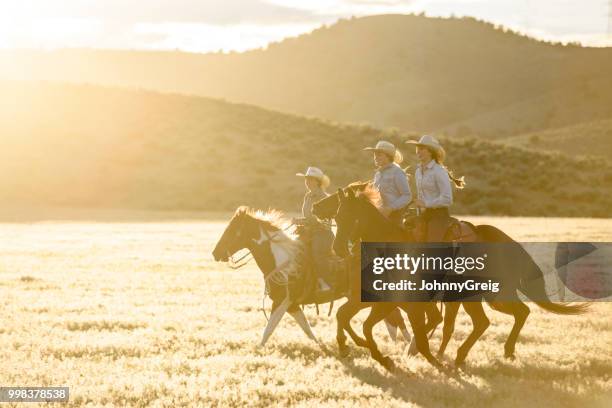 cowgirls reiten auf dem pferd im sonnenlicht - johnny greig stock-fotos und bilder