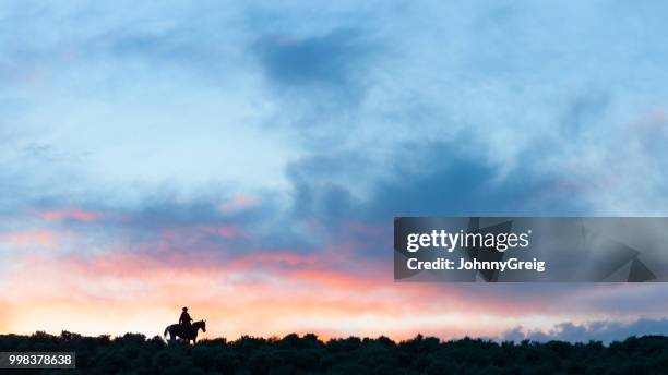 montar a caballo de vaquero en la distancia - johnny greig fotografías e imágenes de stock