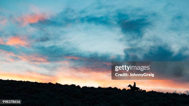 silueta de vaquero a caballo al atardecer - johnny greig fotografías e imágenes de stock