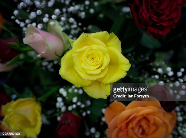 Roses form part of a display during the final day of the 160th Great Yorkshire Show on July 12, 2018 in Harrogate, England. First held in 1838 the...
