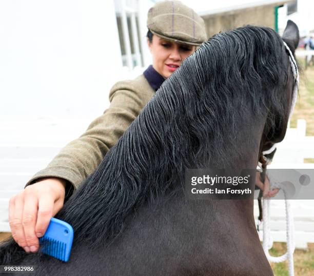 Holly Roberts from Wrexham brushes the mane of her horse before competing during the final day of the 160th Great Yorkshire Show on July 12, 2018 in...