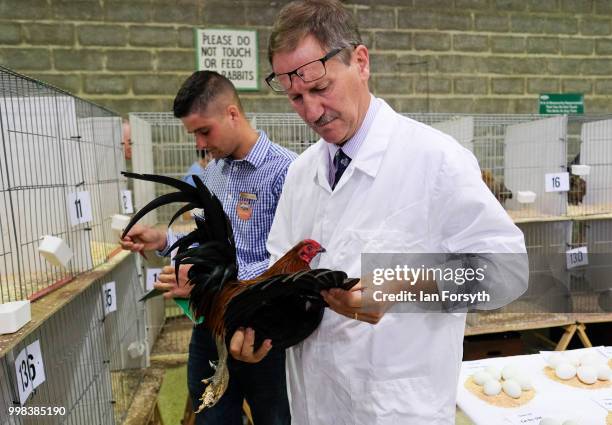 Judge John Messenger judges a chicken during the final day of the 160th Great Yorkshire Show on July 12, 2018 in Harrogate, England. First held in...