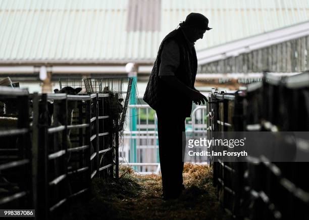 Man feeds his sheep during the final day of the 160th Great Yorkshire Show on July 12, 2018 in Harrogate, England. First held in 1838 the show brings...