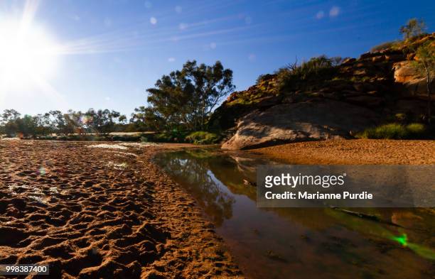 the waterhole that was the original site for alice springs - alice waters stock-fotos und bilder