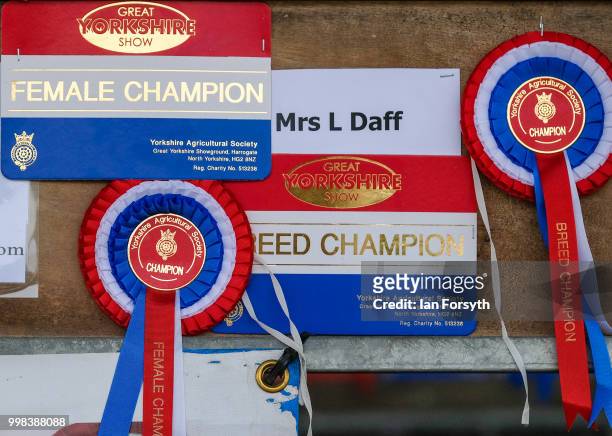 Rosettes are displayed above a sheep pen during the final day of the 160th Great Yorkshire Show on July 12, 2018 in Harrogate, England. First held in...
