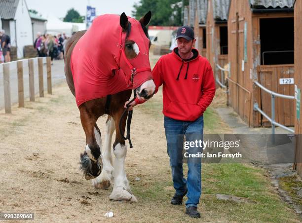 Man walks his horse alongside the stables during the final day of the 160th Great Yorkshire Show on July 12, 2018 in Harrogate, England. First held...