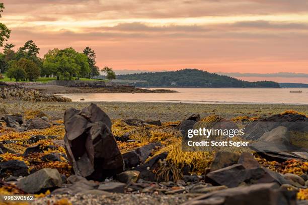 frenchman bay sunset i - frenchman stockfoto's en -beelden