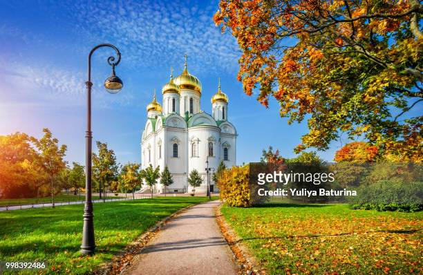 ekaterininsky cathedral in tsarskoe selo - selo stock-fotos und bilder