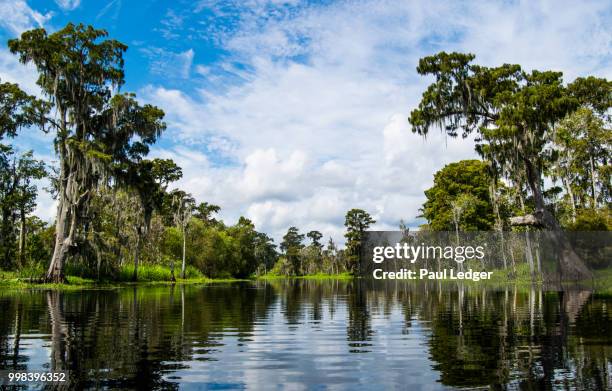 peaceful paddle - the ledger family and australians in films 6th anniversary of the scholarship and the legacy of heath ledger stockfoto's en -beelden