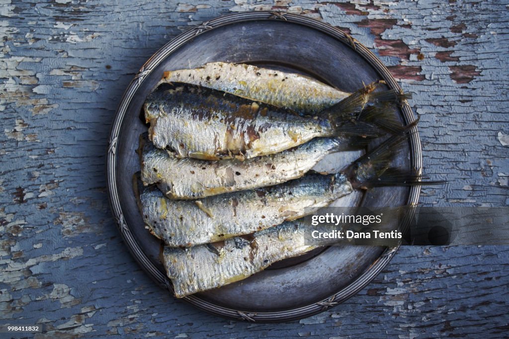 Sardines