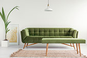 Olive green, stylish settee and an upholstered bench in a bright living room interior with white walls and a plant. Real photo.