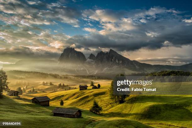 alpe di siusi / seiser alm - tomat stock pictures, royalty-free photos & images