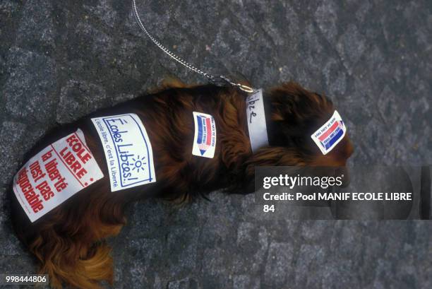 Autocollants sur le dos d'un chien lors de la manifestation pour l'école libre à Paris le 24 juin 1984, France.