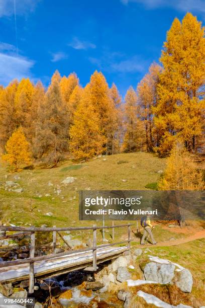 livigno in autumn - italy - footpath sign stock pictures, royalty-free photos & images