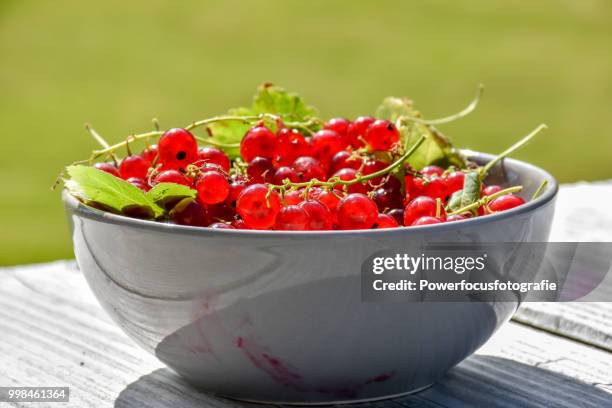 red currants - powerfocusfotografie stock pictures, royalty-free photos & images