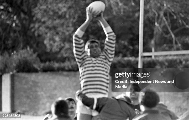 Irish Rugby Training Session at Anglesea Road, Dublin, . .