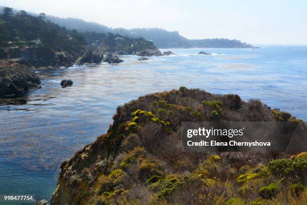 point lobos state reserve - chernyshova stock pictures, royalty-free photos & images