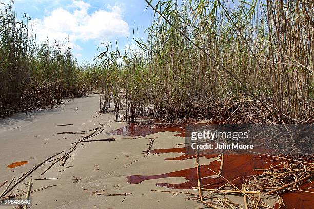 Oil washes up with the tide across a beach at the mouth of the Mississippi River on May 17, 2010 near Venice, Louisiana. BP announced today that it...