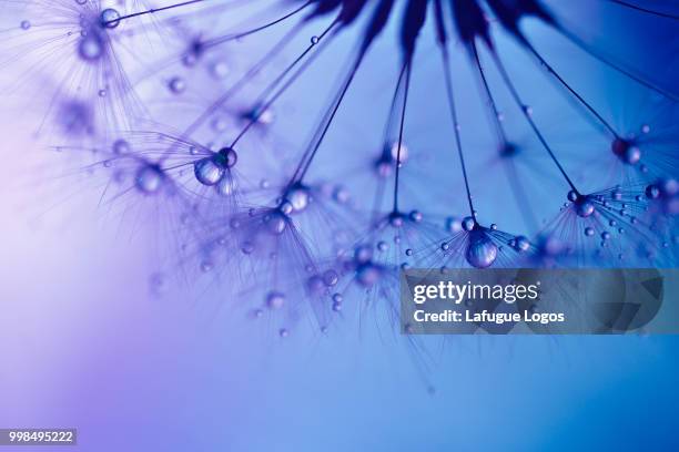 sound of blue - drammen stockfoto's en -beelden