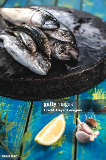 raw fish. sea bream, sea bass, mackerel and sardines - unprocessed stock-fotos und bilder