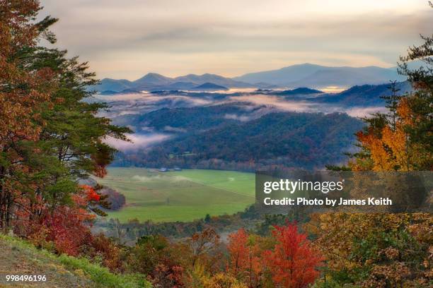 a pastoral scene with the mist covered smoky mountains in the background. - tennessee farm stock pictures, royalty-free photos & images