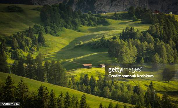 little valley and green hill with sunlight in morning - somnuk krobkum stock-fotos und bilder
