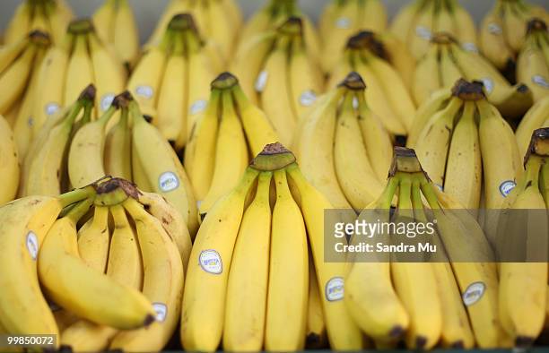 Fresh bananas are on display but prices are set to rise in the next budget announcement if GST is increased on fruit and vegetables on May 18, 2010...