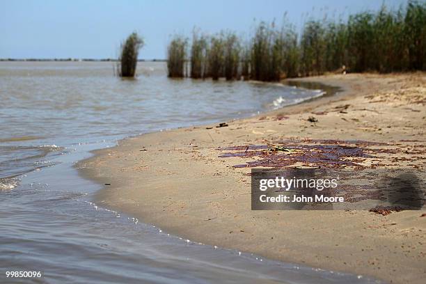 Oil coats a patch of beach sand at the mouth of the Mississippi River on May 17, 2010 near Venice, Louisiana. BP announced today that it is...