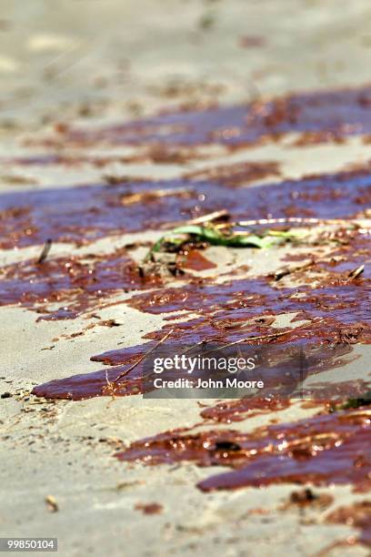 Oil coats sand at the mouth of the Mississippi River on May 17, 2010 south of Venice, Louisiana. BP announced today that it is successfully siphoning...