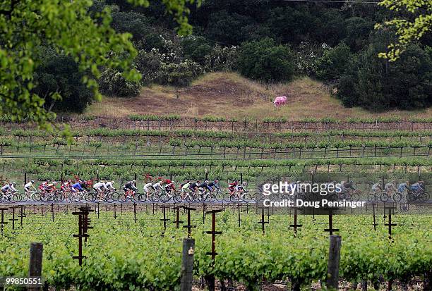 The peloton passes through vineyards during Stage Two of the Tour of California from Davis to Santa Rosa on May 17, 2010 in Napa County, California.
