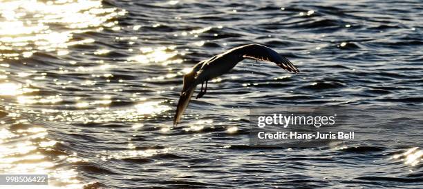 cuxhaven,germany - cuxhaven stock-fotos und bilder