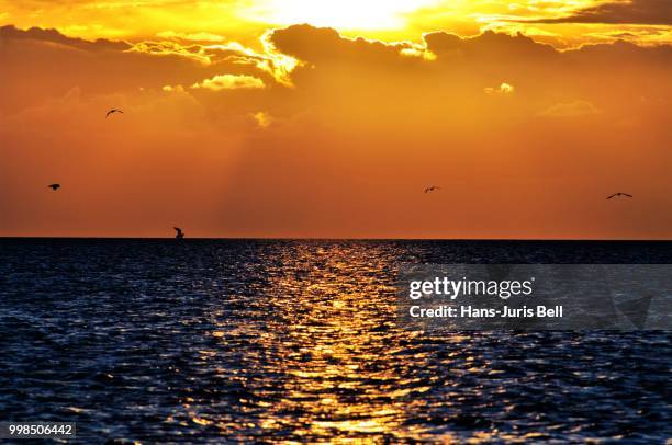 sonnenuntergang im wattenmeer - sonnenuntergang fotografías e imágenes de stock