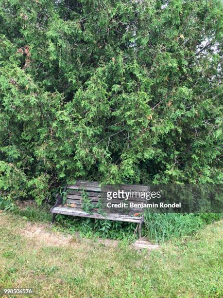 garden with bench - benjamin rondel stock pictures, royalty-free photos & images