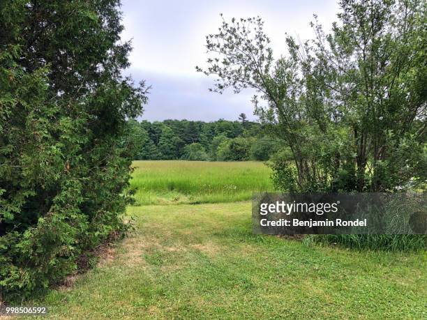back yard - benjamin rondel stock pictures, royalty-free photos & images