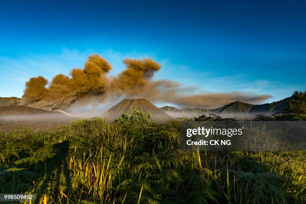 55,970 East Java Stock Photos, High-Res Pictures, and Images - Getty Images