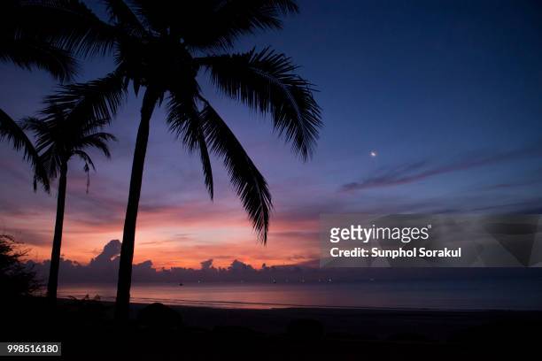 sunrise on the beach with coconut tree silhouette - sunphol stockfoto's en -beelden
