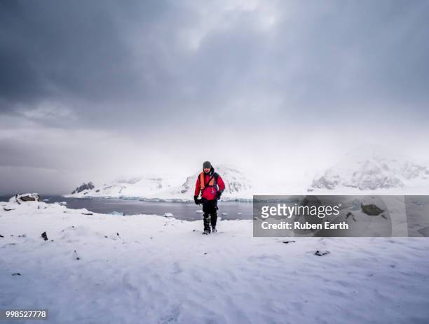 tourist walking in danco island in antarctica - antarctica fotografías e imágenes de stock