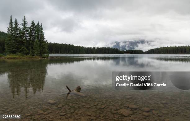 mountain in two jack lake in banff national park. - daniel viñé garcia stock-fotos und bilder