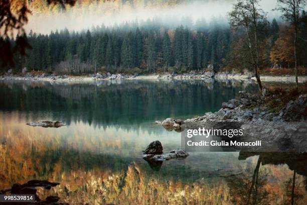 reflection - giulia stock pictures, royalty-free photos & images