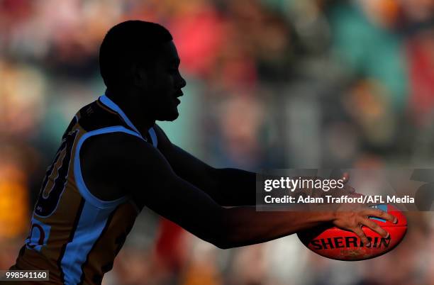 Cedric Cox of the Lions runs with the ball during the 2018 AFL round 17 match between the Hawthorn Hawks and the Brisbane Lions at UTAS Stadium on...