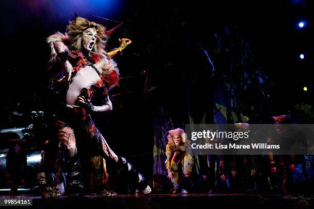 Performer John O'Hara plays the character Rum Tum Rugger alongside cast members on stage during a media preview for the musical CATS at the Lyric...