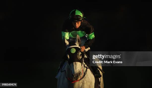 Jean Van Overmeire on So Spirited heads to the start for race 9 during Sydney Racing at Rosehill Gardens on July 14, 2018 in Sydney, Australia.