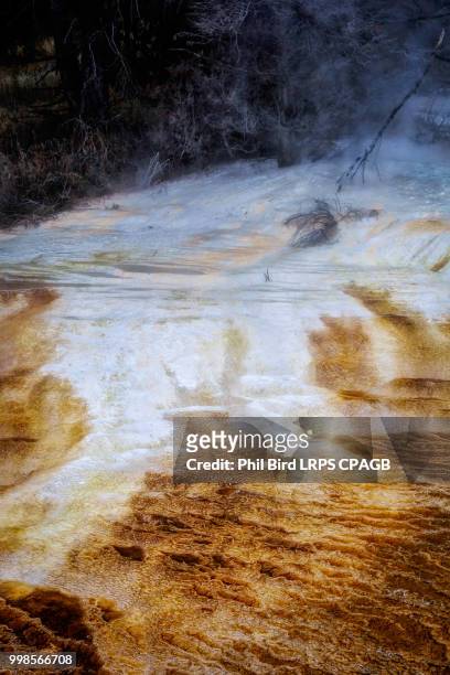 mammoth hot springs in yellowstone national park - hot springs bildbanksfoton och bilder