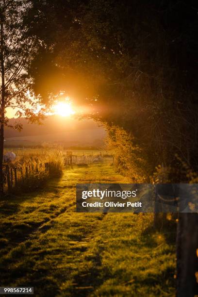 joux-la-ville,france - ville stock pictures, royalty-free photos & images