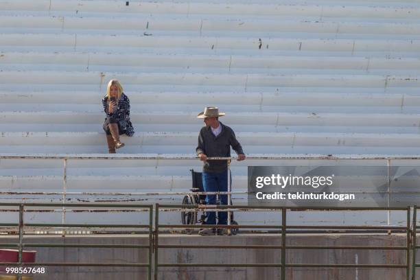 Watching Rodeo Watching Western Film Photos and Premium High Res Pictures - Getty Images