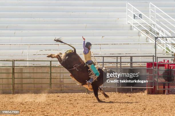 cowboy is at wild bull riding competition at  rodeo paddock arena at nephi of salt lake city slc utah usa - bull riding imagens e fotografias de stock