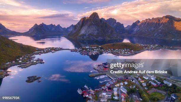 reine from the sky - auf dem land imagens e fotografias de stock