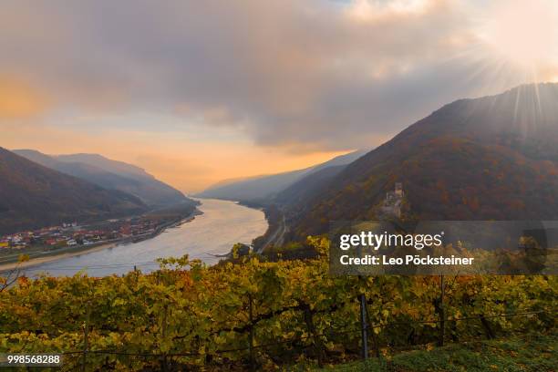 herbst in der wachau - herbst - fotografias e filmes do acervo