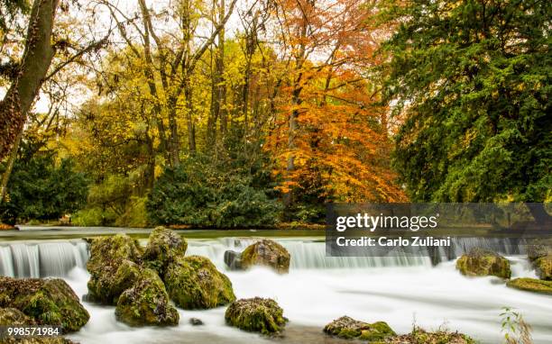 english garden in munich - zuliani stock pictures, royalty-free photos & images