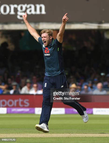 England bowler David Willey celebrates after dismissing Dhawan during the 2nd ODI Royal London One Day International match between England and India...